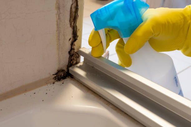 Jordan, NY Mold Remediation Company